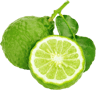 pickwick bergamont